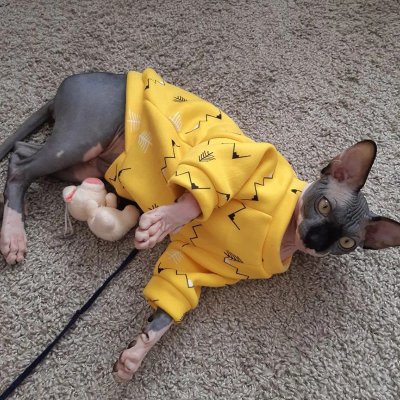 Zoom bild av Mjuk tröja Exempel Modell