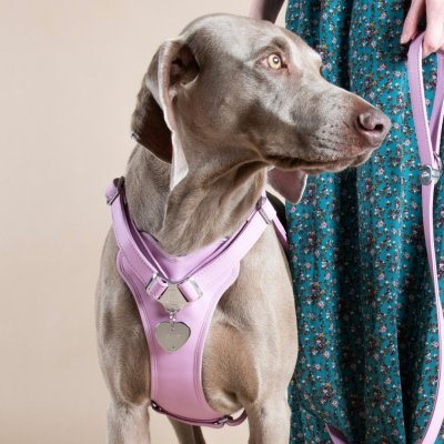 Zoom bild av MyFamily Gravyrbricka Hjärta Färg, olika storlekar small large heart gravyr