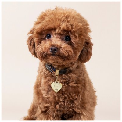 Zoom bild av MyFamily Gravyrbricka Hjärta Färg, olika storlekar small large heart gravyr