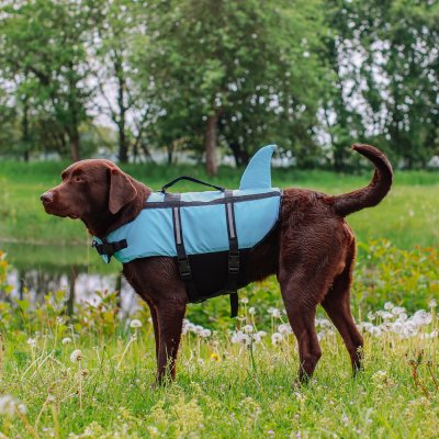Zoom bild av Nobby Flytväst Sharki Blå med hajfena, flera storlekar hundflytväst swimming aid shark sharky simhjälpmedel flytande rolig somma
