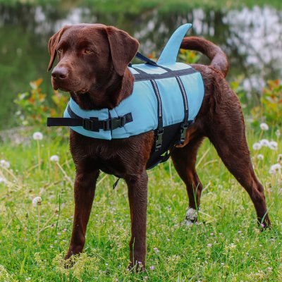 Zoom bild av Nobby Flytväst Sharki Blå med hajfena, flera storlekar hundflytväst swimming aid shark sharky simhjälpmedel flytande rolig somma