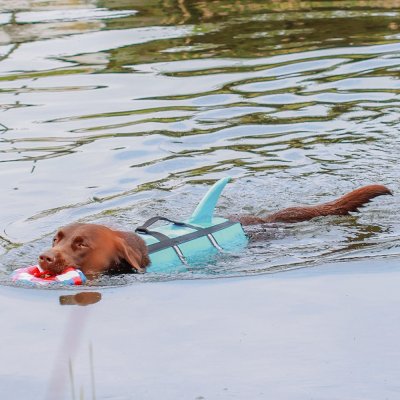 Zoom bild av Nobby Flytväst Sharki Blå med hajfena, flera storlekar hundflytväst swimming aid shark sharky simhjälpmedel flytande rolig somma