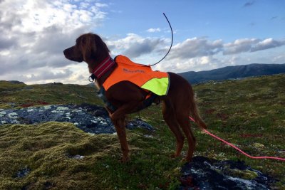 Zoom bild av Non-Stop Dogwear Jaktväst Protector Vest GPS