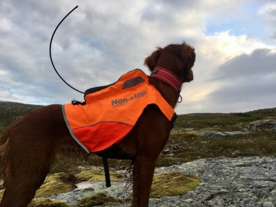 Zoom bild av Non-Stop Dogwear Jaktväst Protector Vest GPS