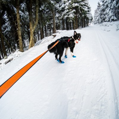 Zoom bild av hundskor hundsocka hundsockor hundskor mushing mushskor snöskor hund blå nonstop dogwear