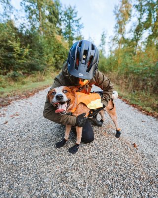Zoom bild av Non-Stop Dogwear Protector Bootie 4-pack