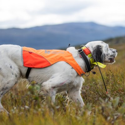 Zoom bild av hundväst jaktväst hund reflex orange gul nonstop