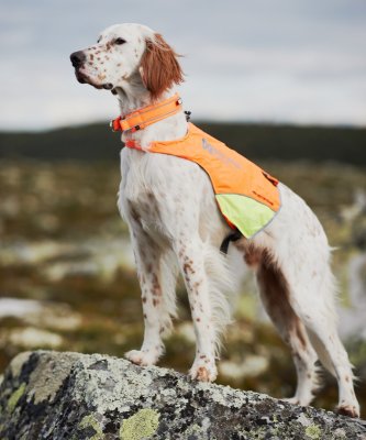 Zoom bild av hundväst jaktväst hund reflex orange gul nonstop