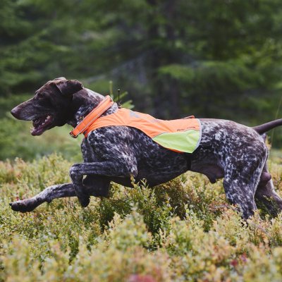 Zoom bild av hundväst jaktväst hund reflex orange gul nonstop