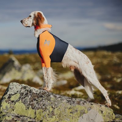 Zoom bild av hundtröja skyddströja neonorange jakttröja nonstop