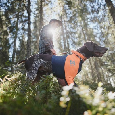 Zoom bild av hundtröja skyddströja neonorange jakttröja nonstop