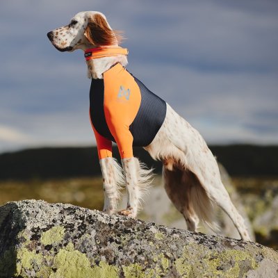 Zoom bild av hundtröja skyddströja neonorange jakttröja nonstop