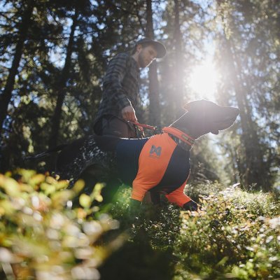 Zoom bild av hundtröja skyddströja neonorange jakttröja nonstop