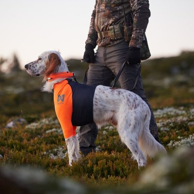 Zoom bild av hundtröja skyddströja neonorange jakttröja nonstop