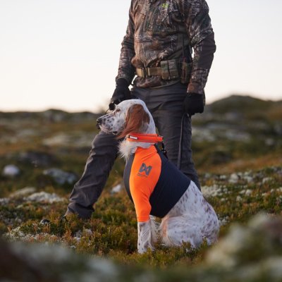 Zoom bild av hundtröja skyddströja neonorange jakttröja nonstop