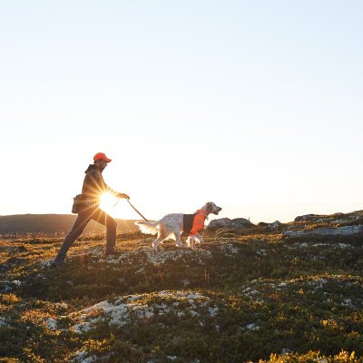 Zoom bild av hundtröja skyddströja neonorange jakttröja nonstop