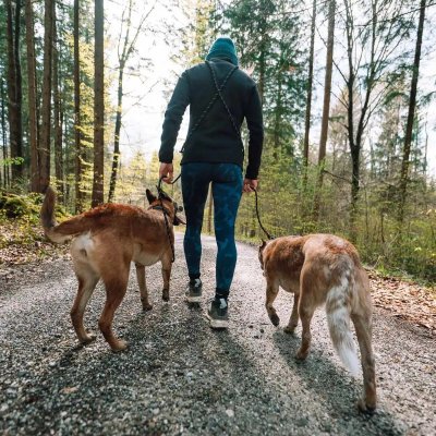 Zoom bild av Non-Stop Rock Adjustable Leash Black 2,3 m