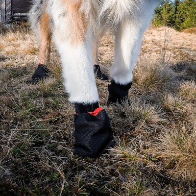 Zoom bild av hundskor hundsockar svart röd nonstop dogwear
