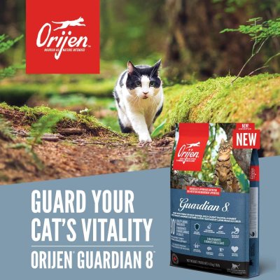 Zoom bild av Orijen Cat Guardian 8 premium kvalitet kattfoder kattmat kyckling viltfångad lax kanin spannmålsfritt hälsosamt