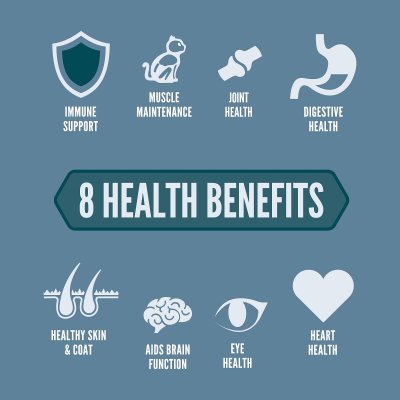 Zoom bild av Orijen Cat Guardian 8 premium kvalitet kattfoder kattmat kyckling viltfångad lax kanin spannmålsfritt hälsosamt