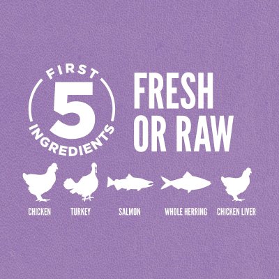 Zoom bild av Orijen Cat Kitten premium kvalitet kattfoder kattmat kattungefoder kattungemat kyckling kalkon viltfångad fisk spannmålsfritt