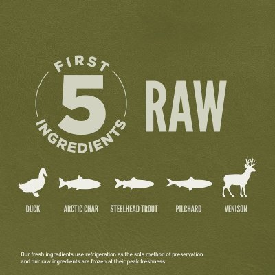 Zoom bild av Orijen Cat Tundra premium kvalitet kattfoder kattmat anka fisk viltkött