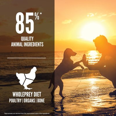 Zoom bild av Orijen Dog Puppy hundfoder hundmat valpfoder valpmat premium kvalitet foder valp kyckling kalkon viltfångad fisk