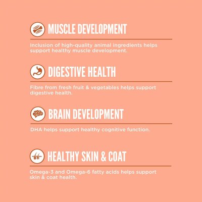 Zoom bild av Orijen Dog Puppy Small Breed hundfoder valpfoder hundmat premium kvalitet kyckling lax kalkon fisk