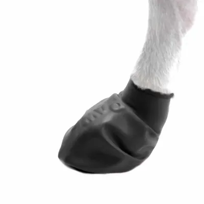 Zoom bild av pawz hundsko ballongsko svart flera storlekar gummi naturgummi engångshundskor vattentäta biologiskt nedbrytbara skydd mot snö f