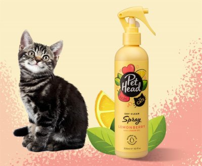 Zoom bild av Pet Head Felin' good Spray 300 ml