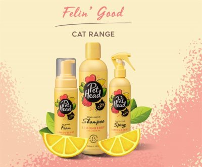 Zoom bild av Pet Head Felin' good Foam 200 ml