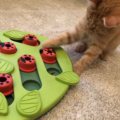 Zoom bild av Petstages Cat Puzzle & Play Buggin Out Nina Ottosson kattaktivering kattpussel blad grön puzzel godisgömma födosök