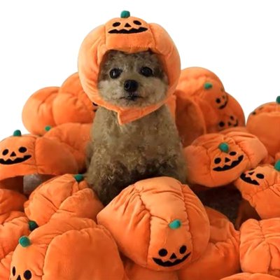 Zoom bild av pumpa halloween pumpahatt hundhatt katthatt partyhatt utklädnad maskerad rolig plysch orange kardborre