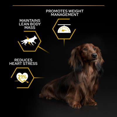 hundfoder torrfoder hund kastrerad övervikt sterilized chicken purina pro plan optiweight