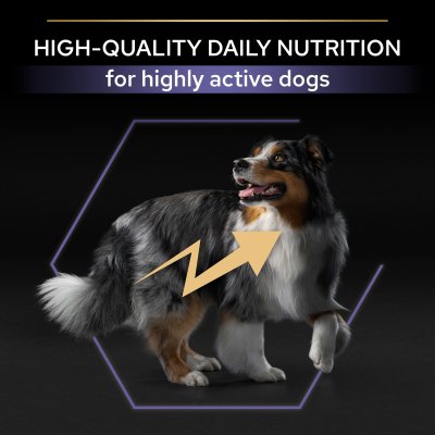 hundfoder hundmat optipower performance proplan purina