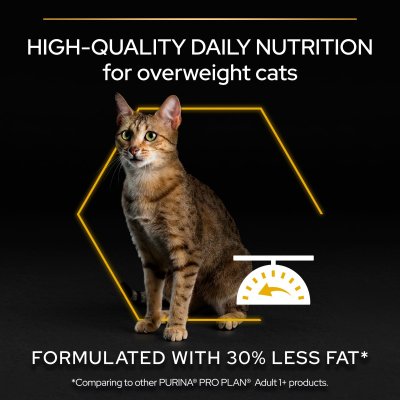 Zoom bild av kattfoder kattmat optilight vuxen katt övervikt kalkon matsmältning proplan light