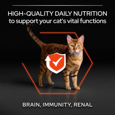 Zoom bild av kattfoder kattmat vuxenkatt immunförsvar optisenses proplan purina katt