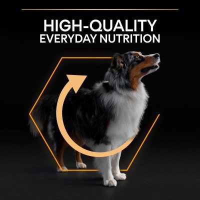 Zoom bild av hundfoder hundmat optibalance optinutrition everyday nutrition stor hund proplan kyckling