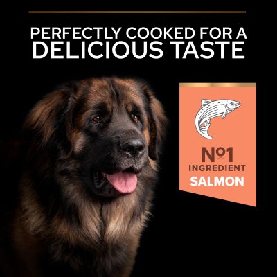 hundfoder hundmat optiderma proplan purina hudvårdande hundmat päls lax känslig hud sensitive skin