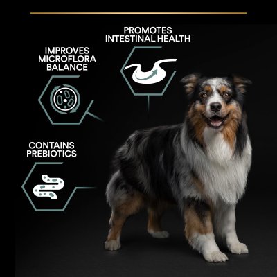 Zoom bild av hundfoder hundmat optidigest matsmältning känslig mage hund valp lamm proplan sensitive digestion