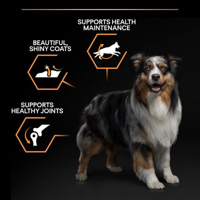 Zoom bild av hundfoder hundmat optibalance optinutrition proplan everyday småhund liten hund small mini nutrition
