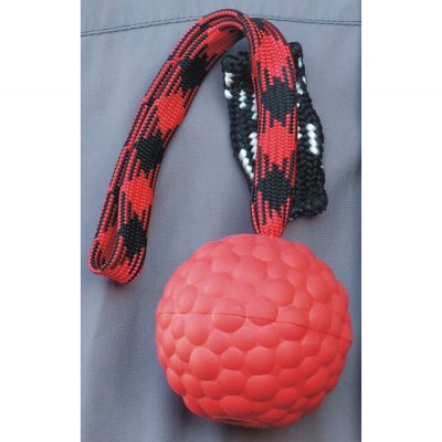 Zoom bild av Raddog 6 cm Hård boll med magnet