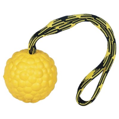 Zoom bild av Raddog 6 cm Hård boll med magnet