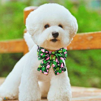 Zoom bild av Rosett på halsband, flera modeller