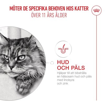 Zoom bild av royal canin senior ageing 11+ torrfoder kattfoder kattmat äldre seniora katter
