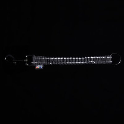 Zoom bild av hundkoppel expander