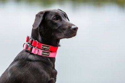 Rukka Bliss Collar Turkos