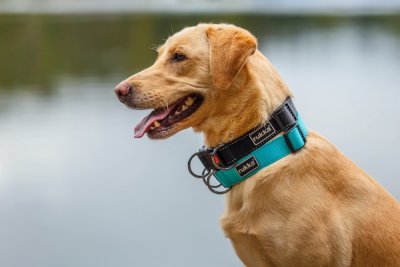 Rukka Bliss Collar Svart