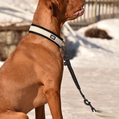 Zoom bild av hundhalsband rukka beige