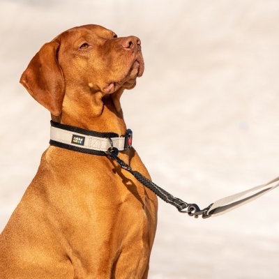 Zoom bild av hundhalsband rukka beige